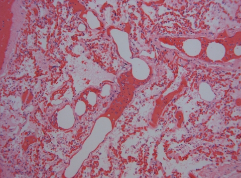 Fig. 4