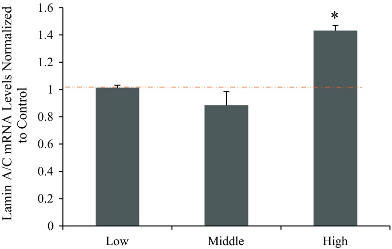 Figure 5