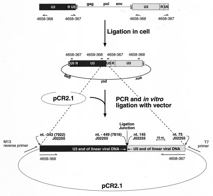 FIG. 1