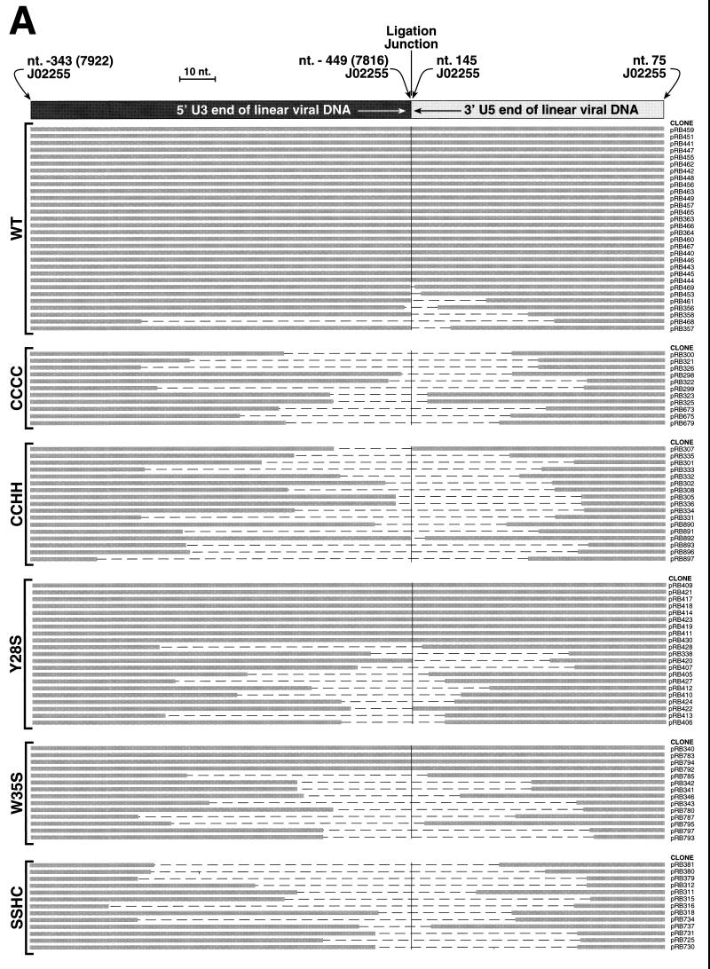 FIG. 6