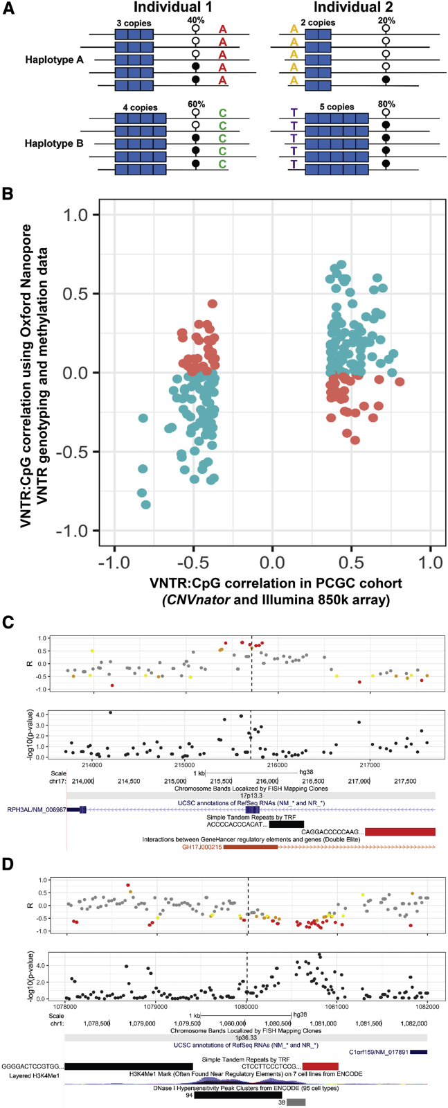 Figure 5