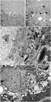 Fig. 5.