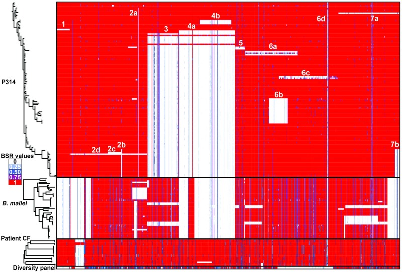 Fig 5