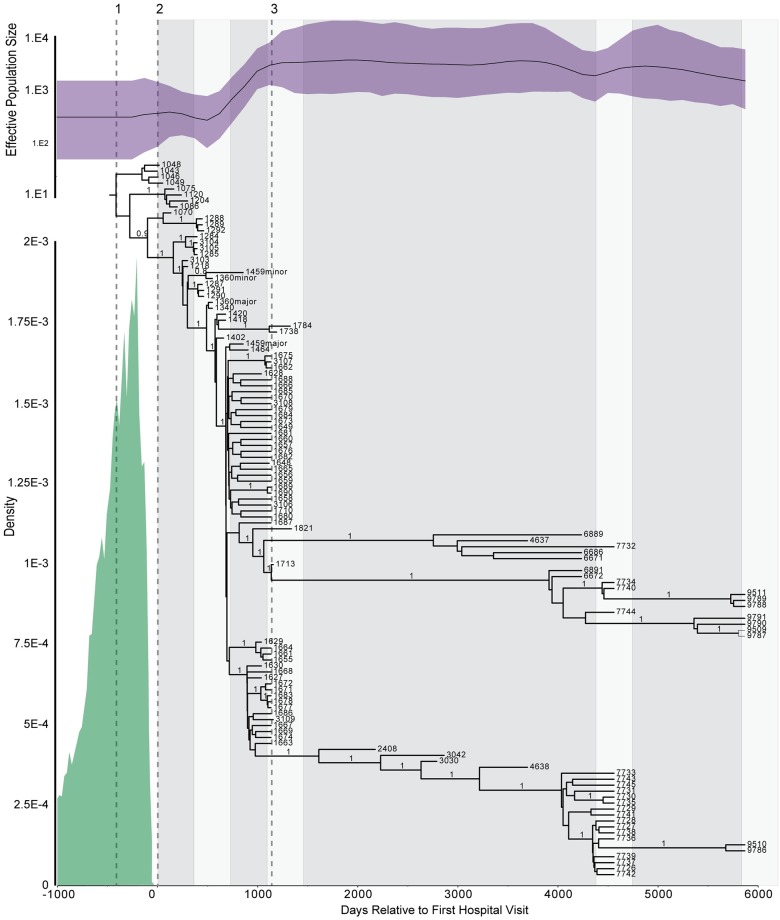 Fig 10