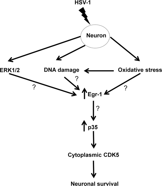 FIG 4