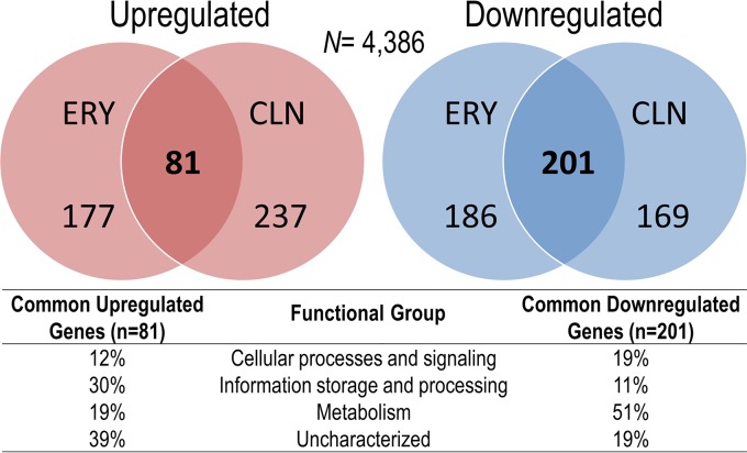 FIG 6