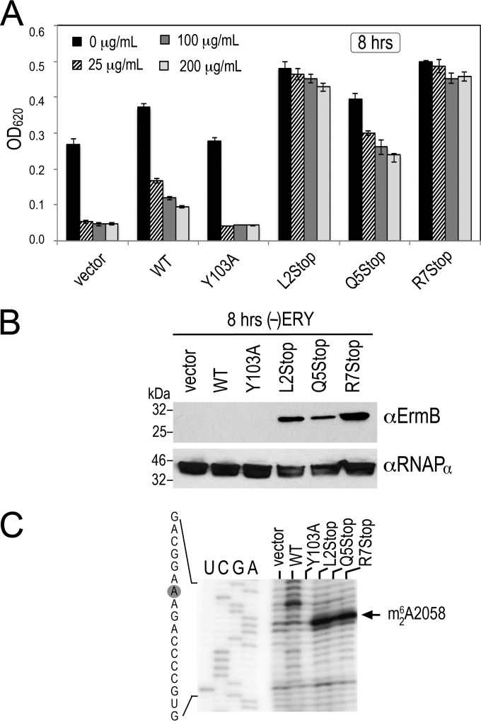 FIG 3