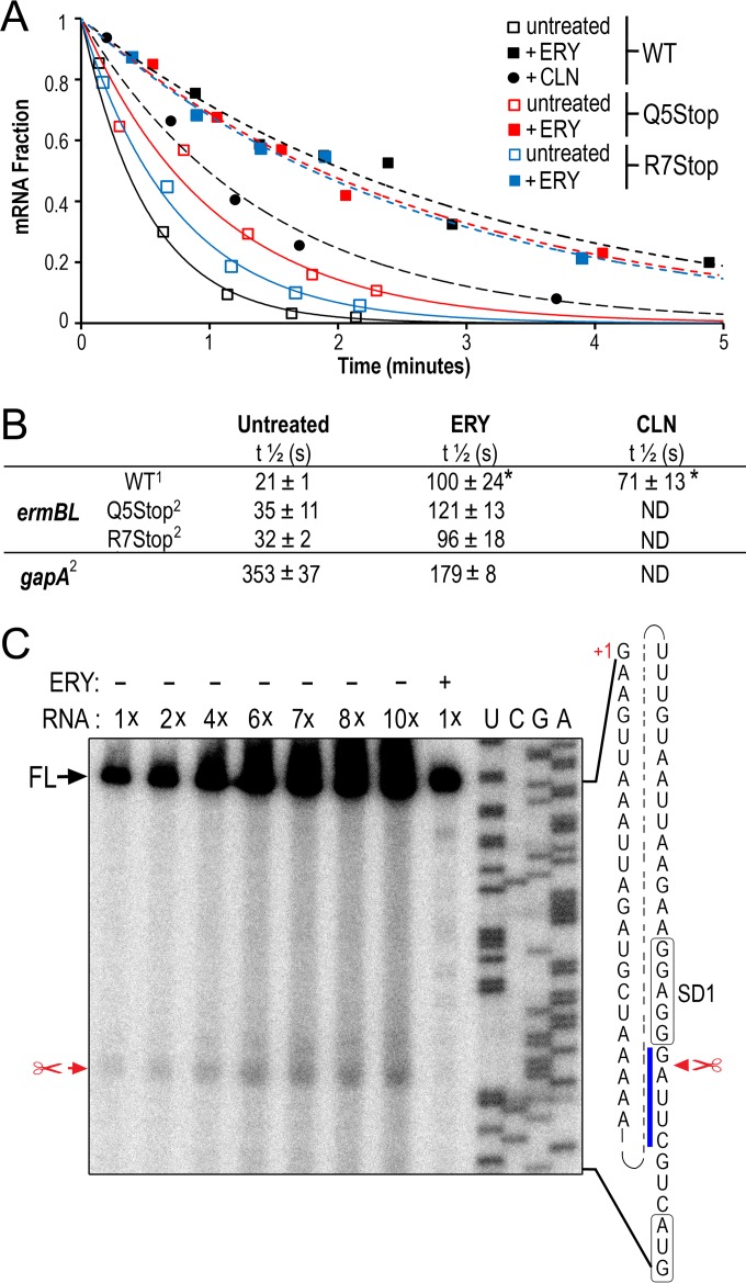 FIG 5