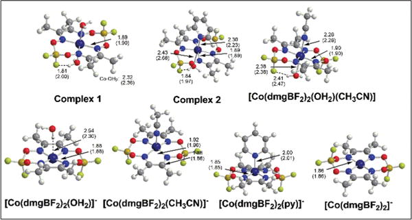 Fig. 11