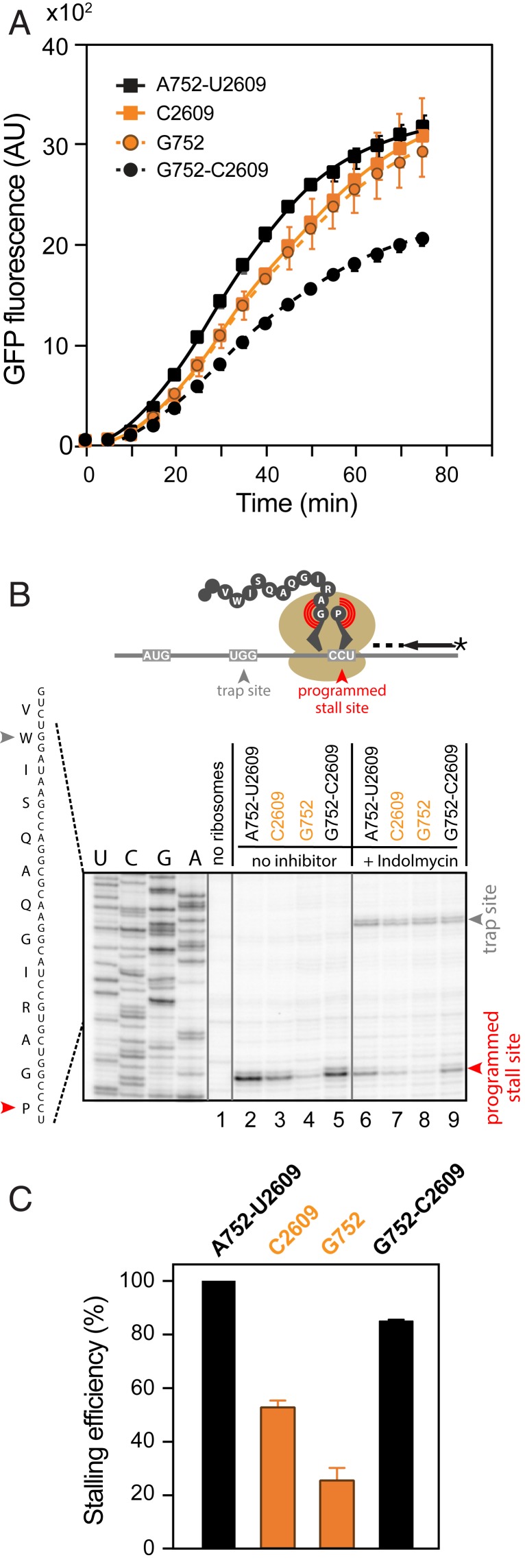 Fig. 2.