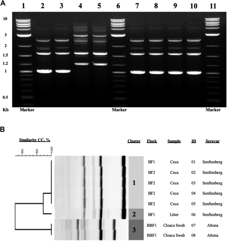 Figure 1