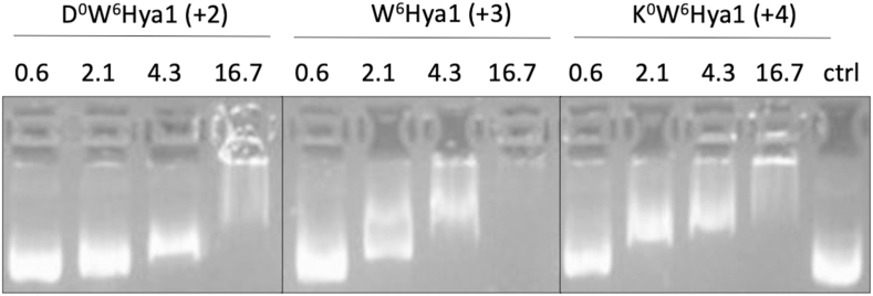 Fig. 9