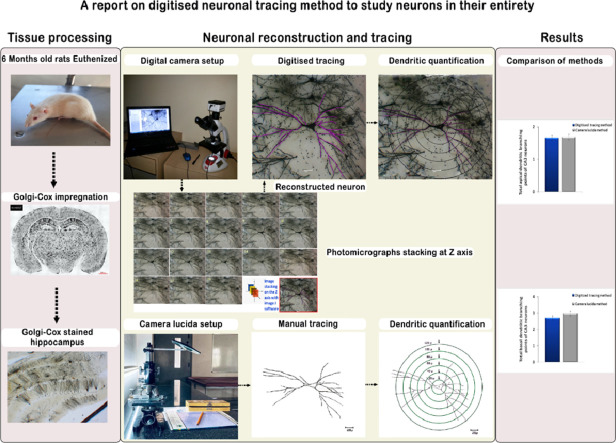 Image, graphical abstract