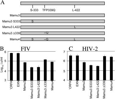 FIG. 2.