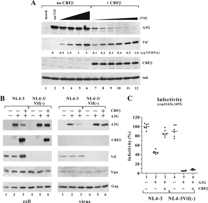 FIG 3