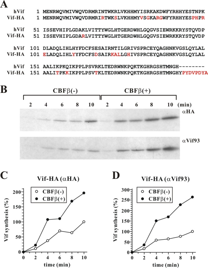 FIG 6