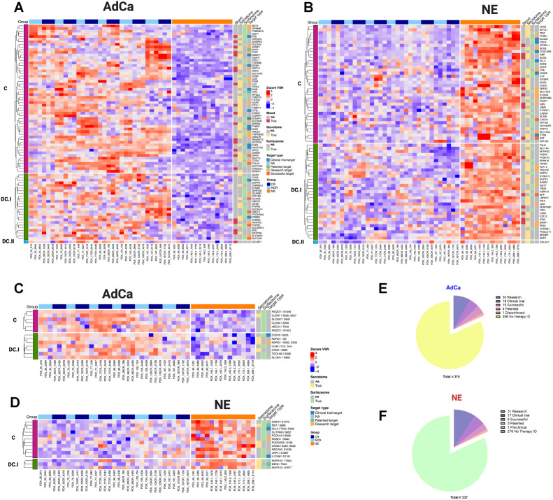 Figure 5. Functional proteome and phosphoproteome characterization. Heat map data illustrate z-score VSN-normalized protein hyper-abundance expression for AdCa (n = 82; A) and NE (n = 70; B) Heat map data illustrates z-score VSN normalized proteins hyper-phosphorylated expression for AdCa (n = 13; C) and NE (n = 14; D). Concordance level was defined by using the master protein counterpart and clustered based on this concordance from the proteome. Pie charts illustrate the therapeutic target distribution identified across the hyper-abundant proteins in AdCa (E) with a total of 337 and NE (F) with a total of 374 analyzed. Functional proteins color coding that are identified as blood (red), secreted (yellow) surface (light green), and therapy target type such as clinical trial in blue, patented in green, research target in light orange, successful in terracotta, and no available data identified as NA in gray.