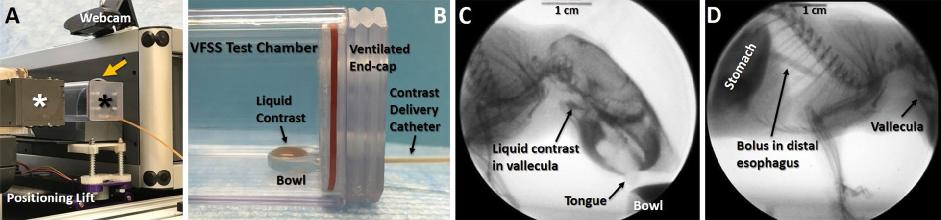 Fig. 4