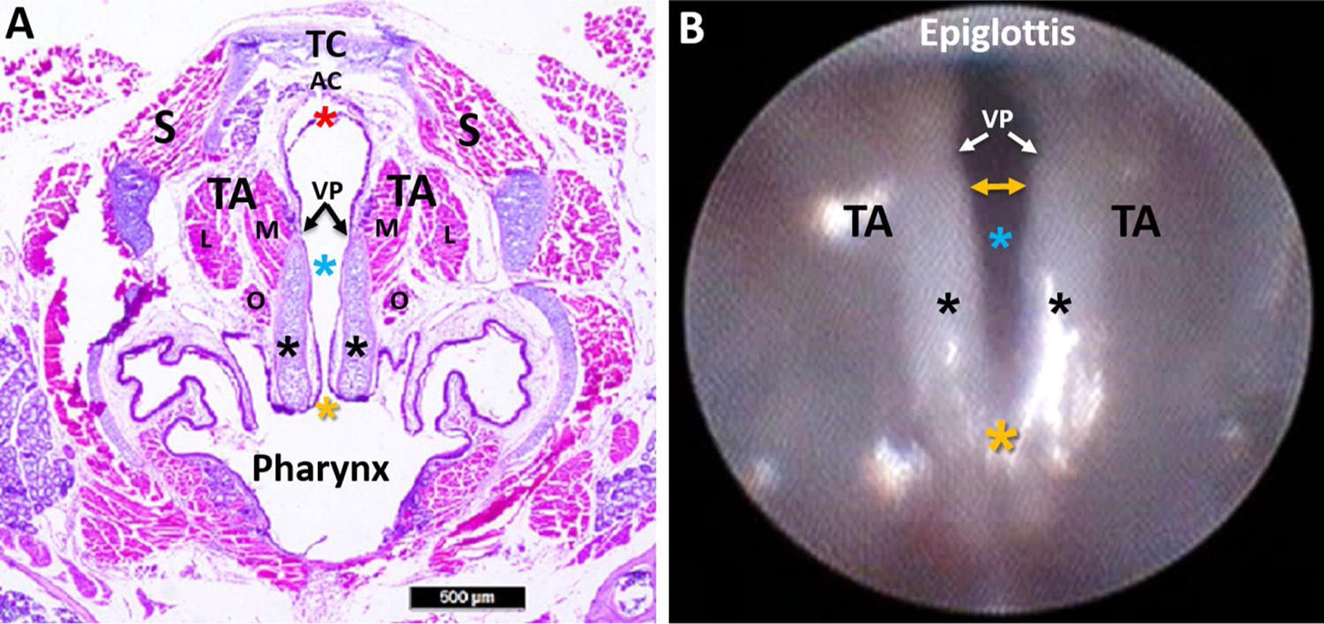 Fig. 10