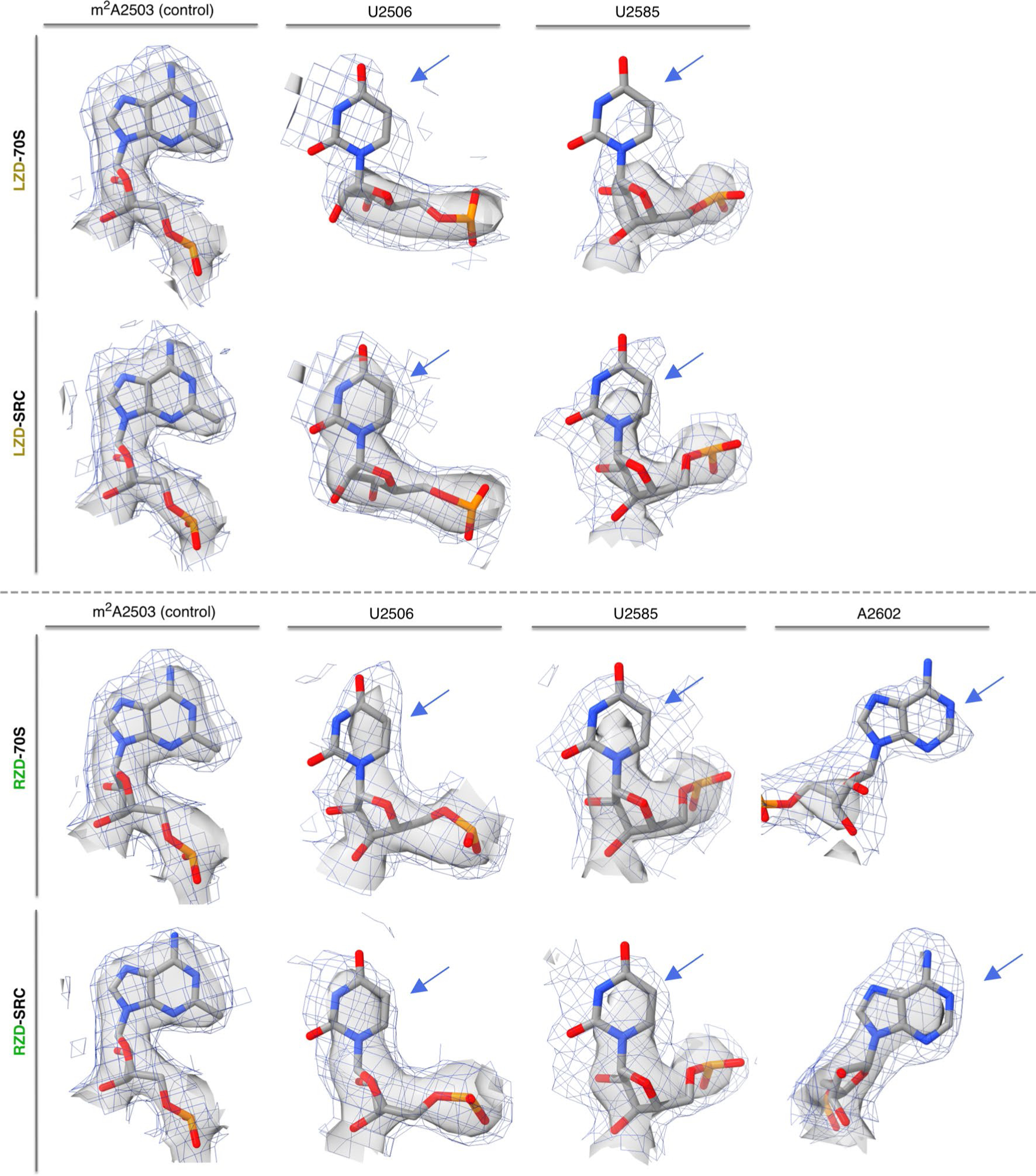 Extended Data Fig. 6 |