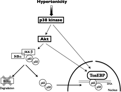 Figure 10.