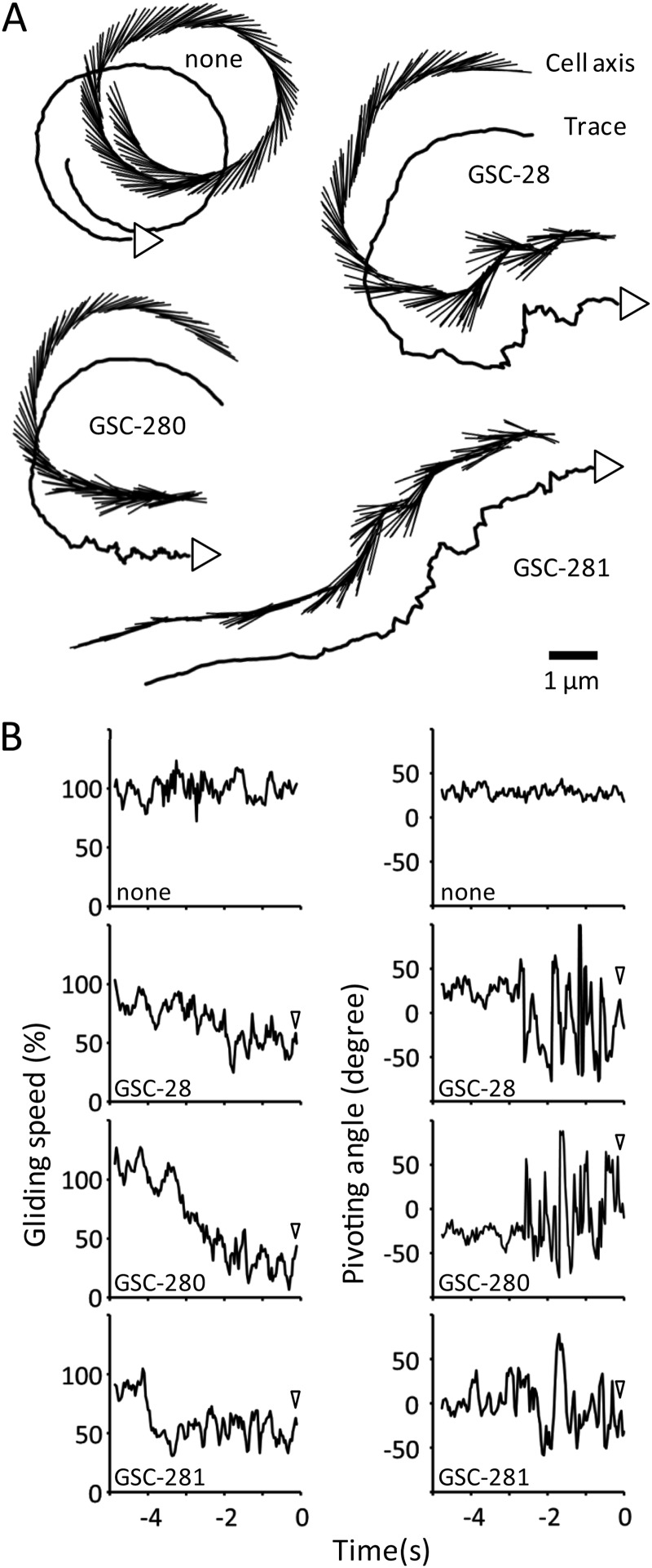 Fig 5