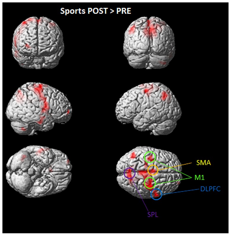 FIGURE 3