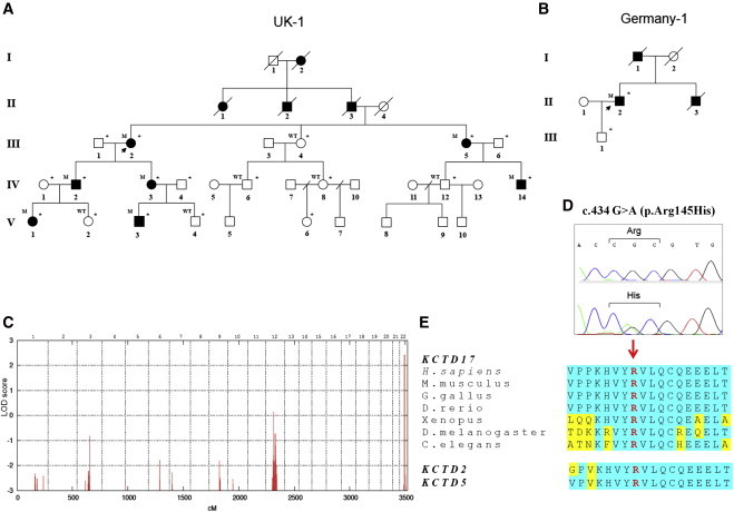 Figure 1