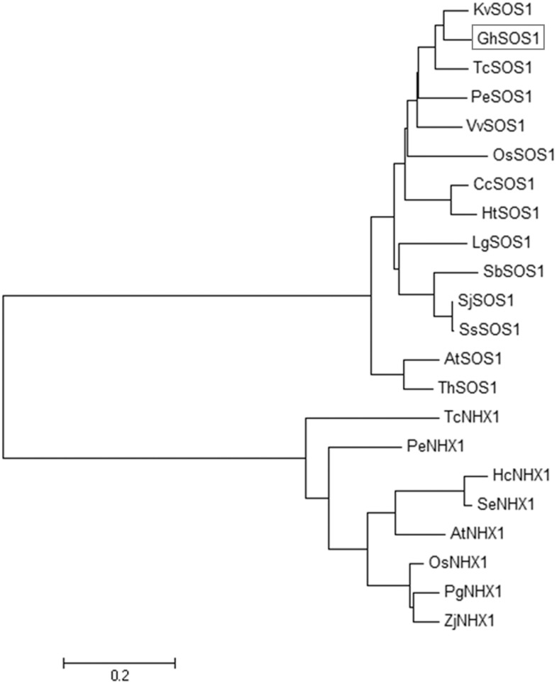 Fig 2