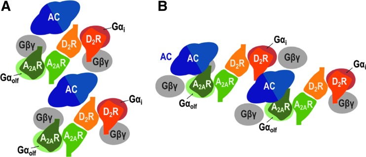 FIG. 1.