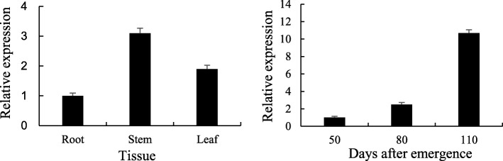 Fig. 8