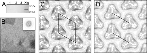 Figure 1