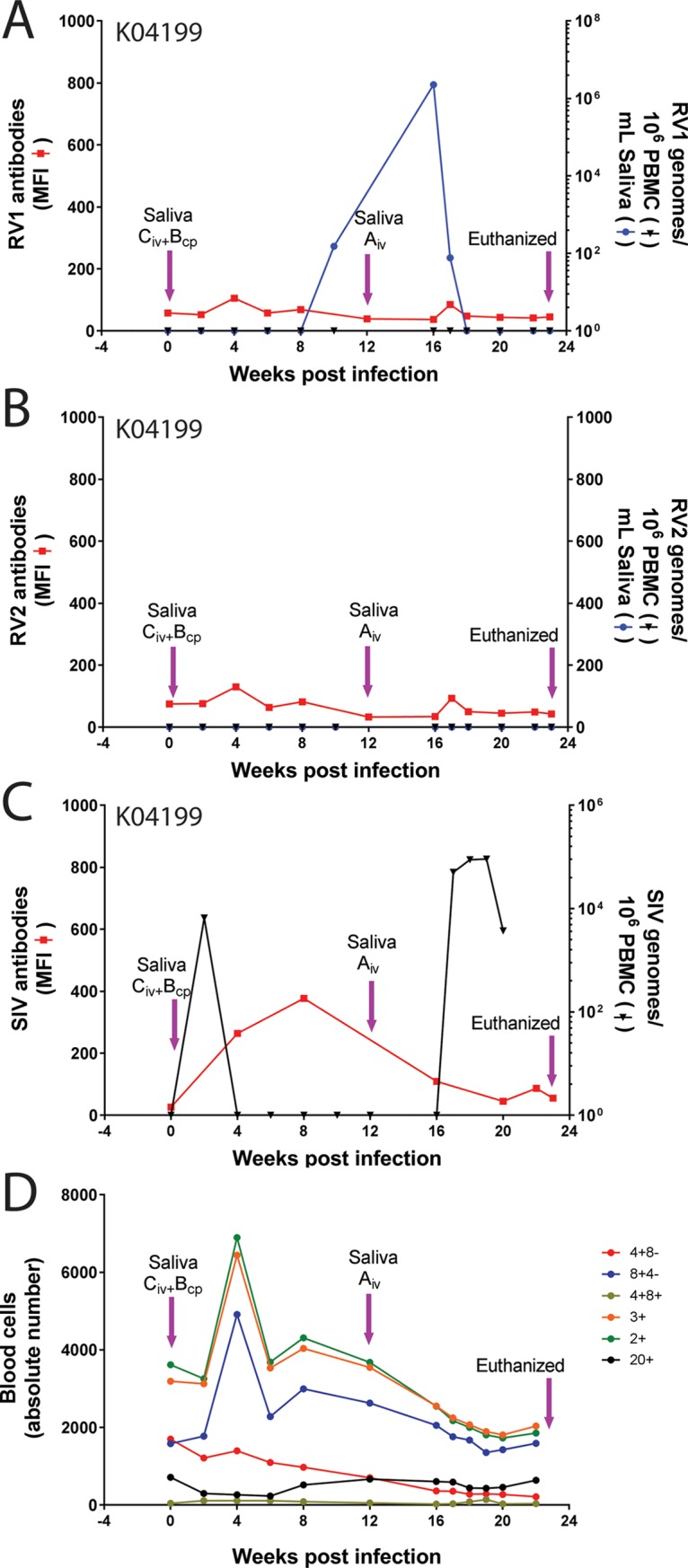 Fig 4