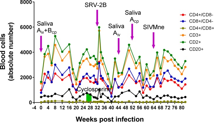 Fig 6