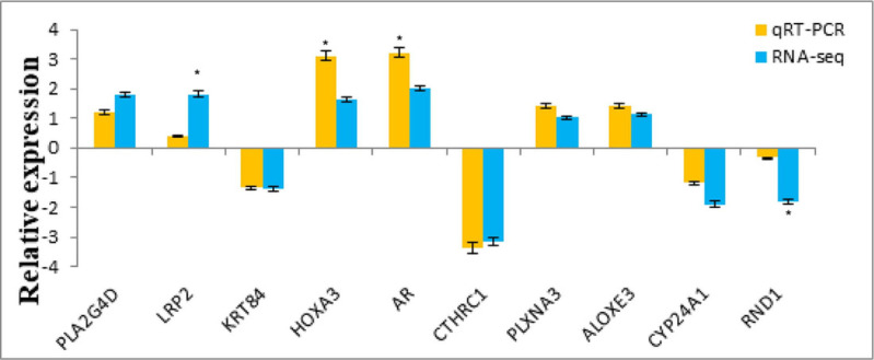 Figure 10