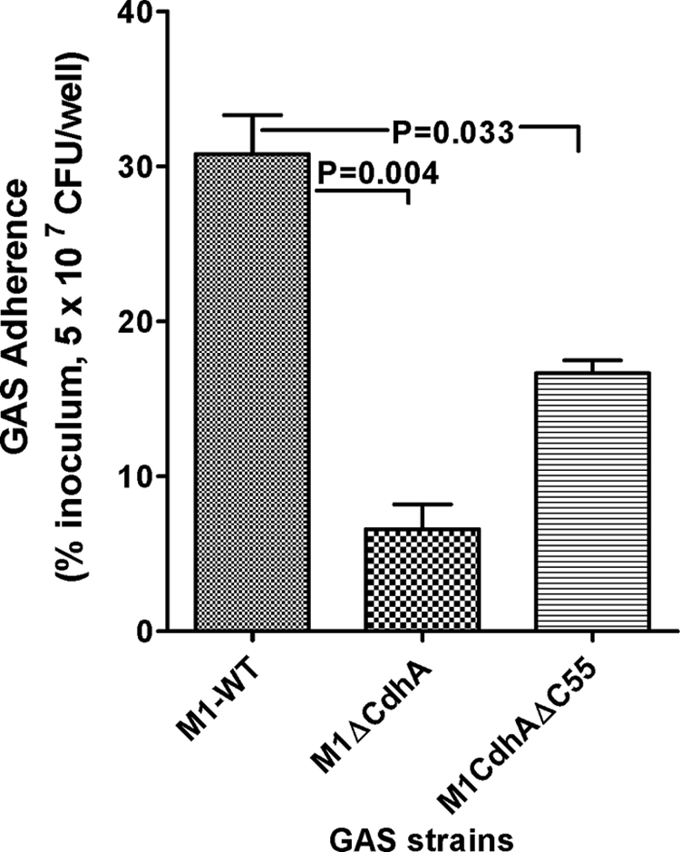 FIGURE 7.