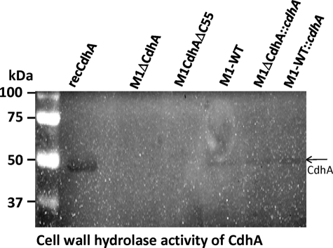 FIGURE 6.