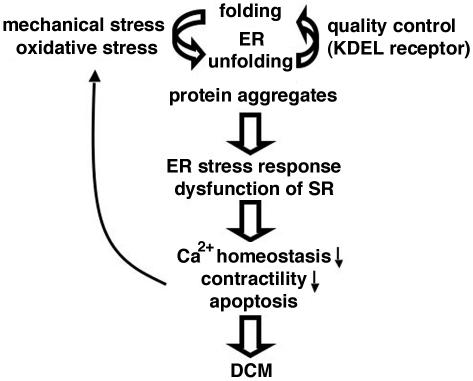 FIG. 8.