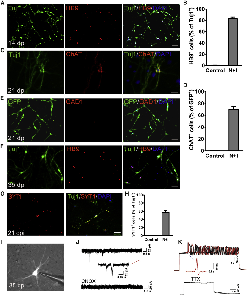 Figure 2