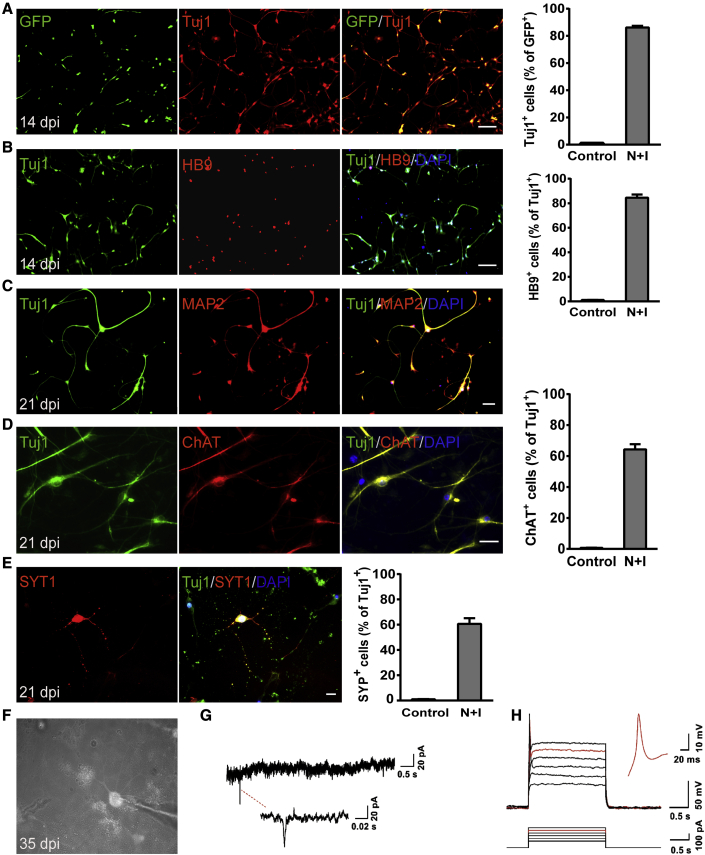 Figure 3