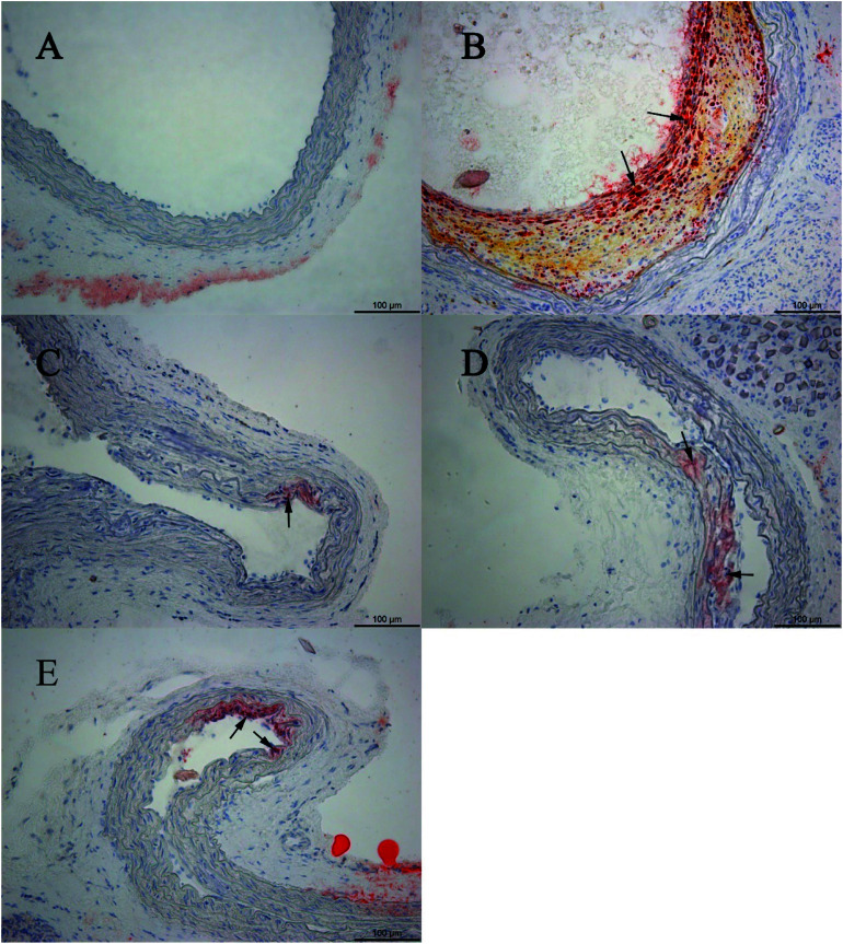 Fig. 4