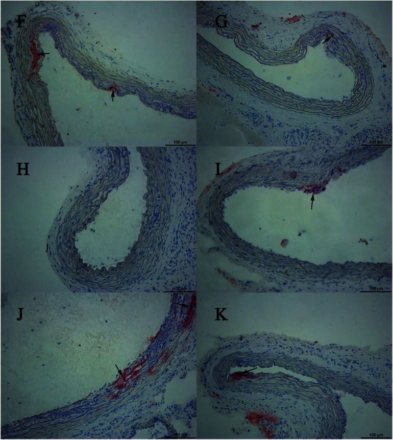 Fig. 5