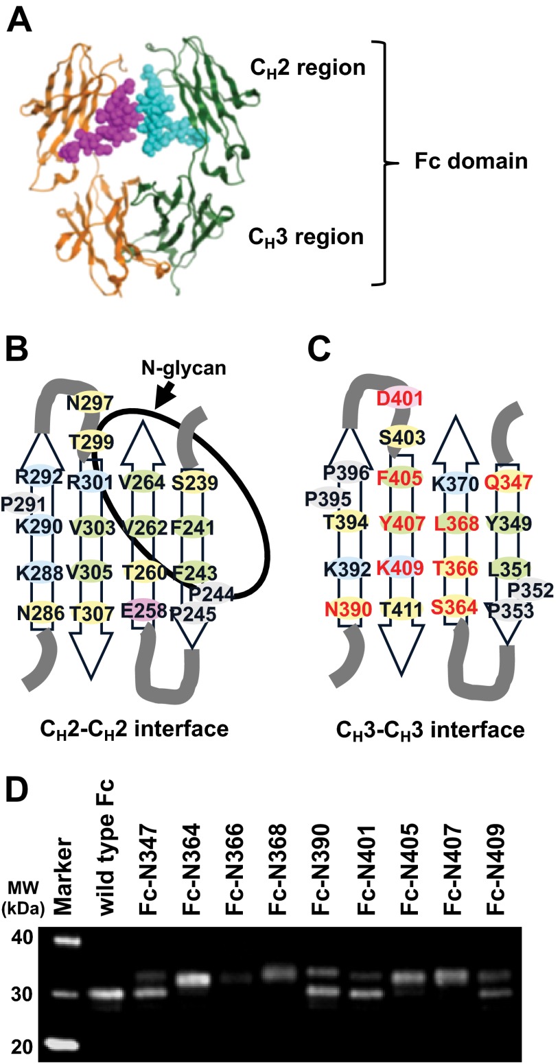 FIGURE 1.