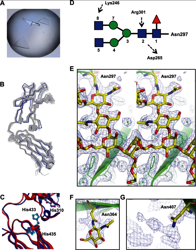 FIGURE 4.