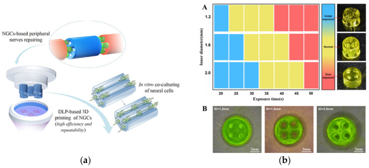 Figure 11