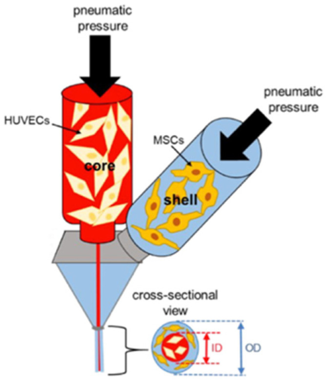 Figure 19