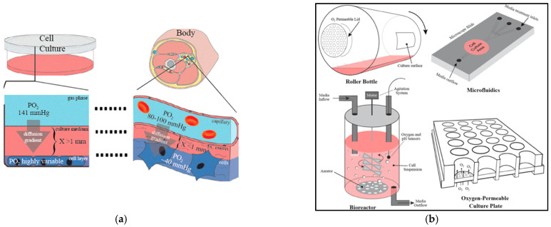 Figure 22