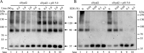 FIG. 5.