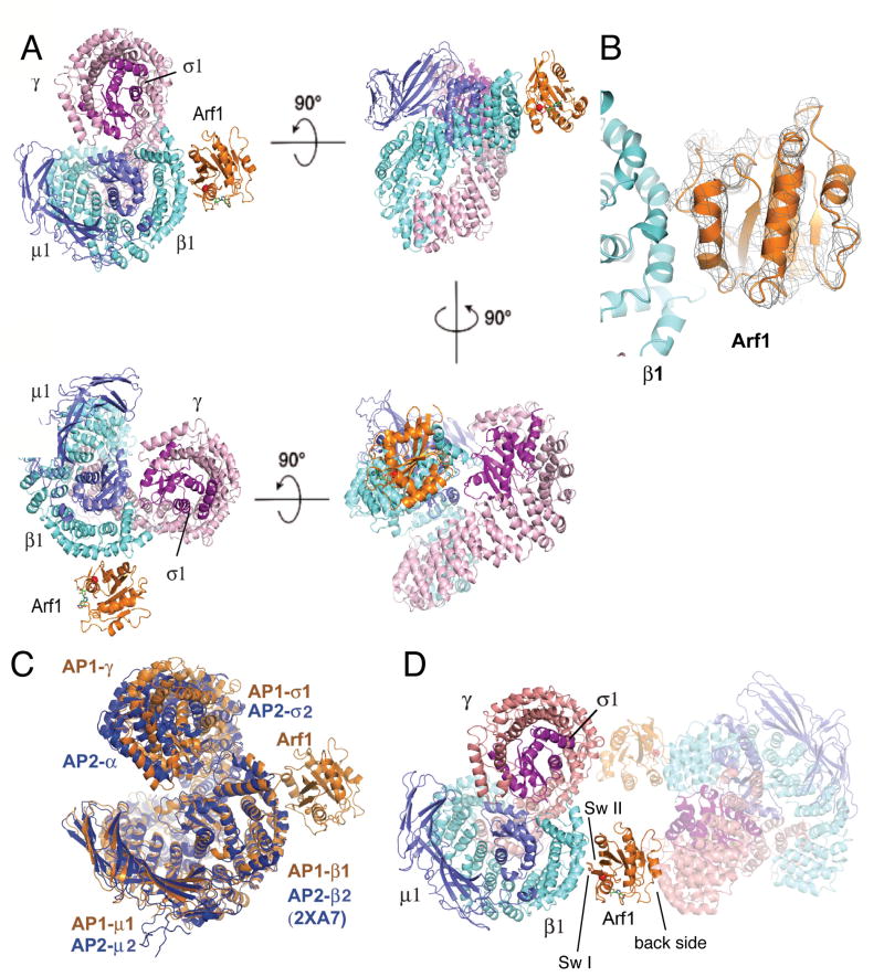 Figure 1