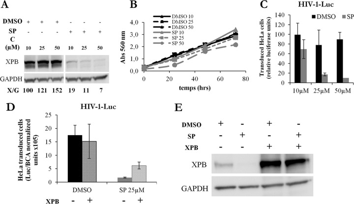 FIG 4